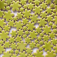 Charms Blommor Kiwi
