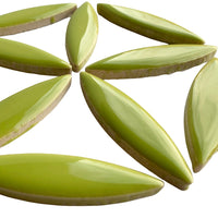 Ellips Kiwi
