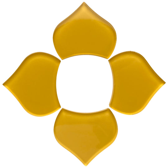 Suuri kalansuomu maissi