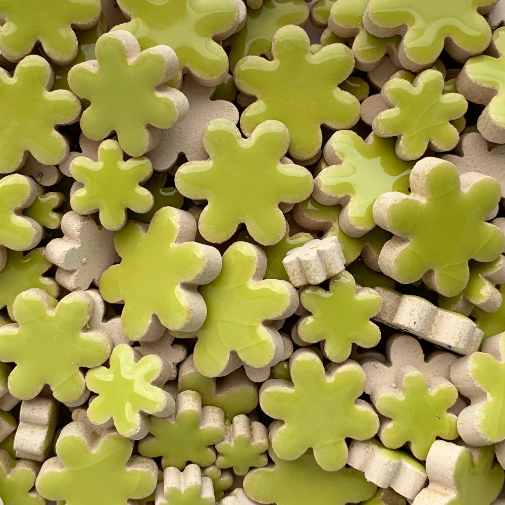 Charms Blommor Kiwi