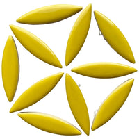 Ellips Citron