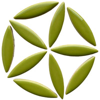 Ellips Kiwi