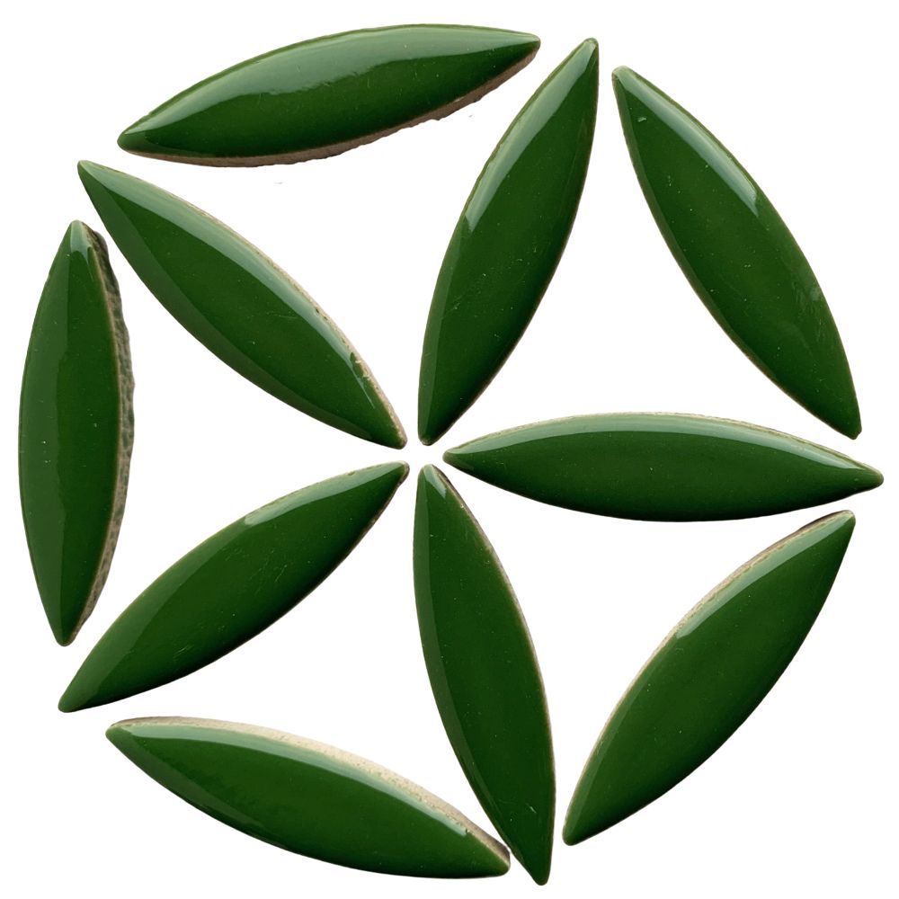 Mosaiksteinen Ellipse  Eucalyptus