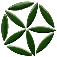 Mosaiksteinen Ellipse  Eucalyptus