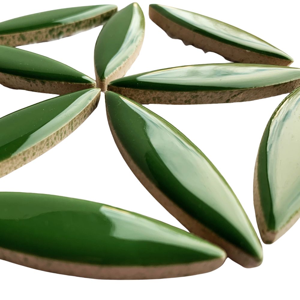 Mosaiksteinen Ellipse  Eucalyptus