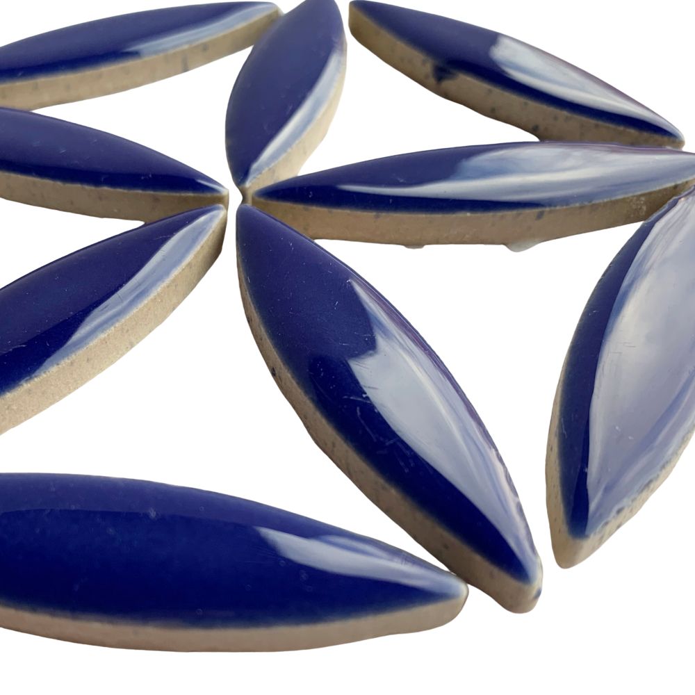 Ellips Donkerblauw