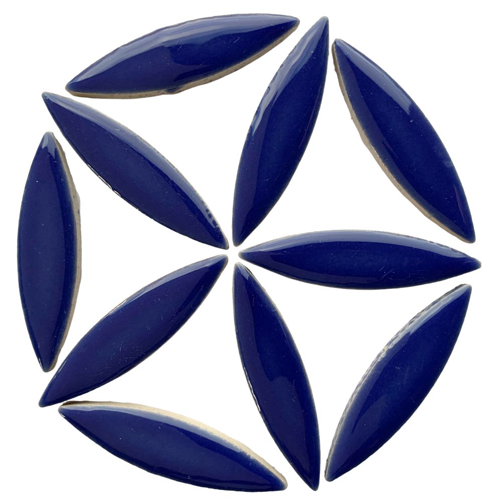 Ellips Donkerblauw
