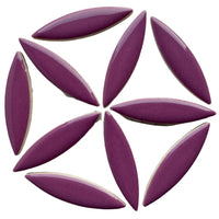 Ellips Paars