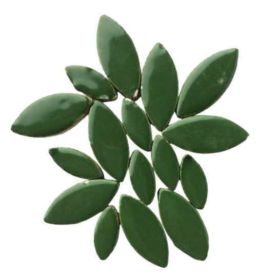 Terälehdet pesto